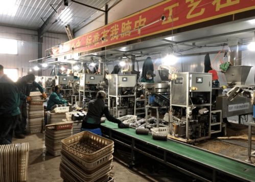 牡丹江市村集體招商項目第1期 聚焦教育領域，打造鄉村發展新引擎